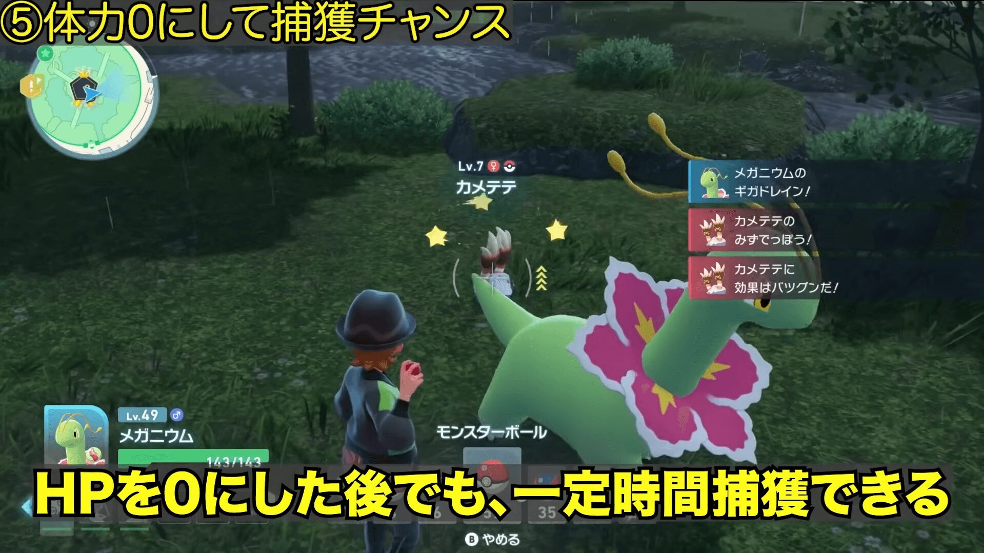 ポケモンZA 体力ゼロからの捕獲チャンス