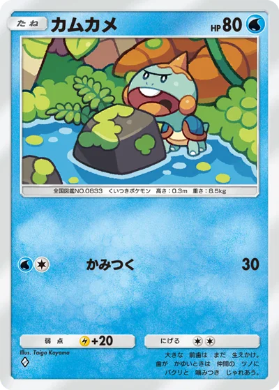 カムカメ