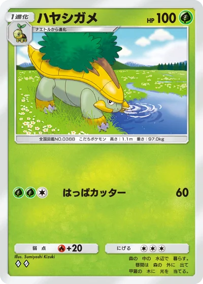 ハヤシガメ