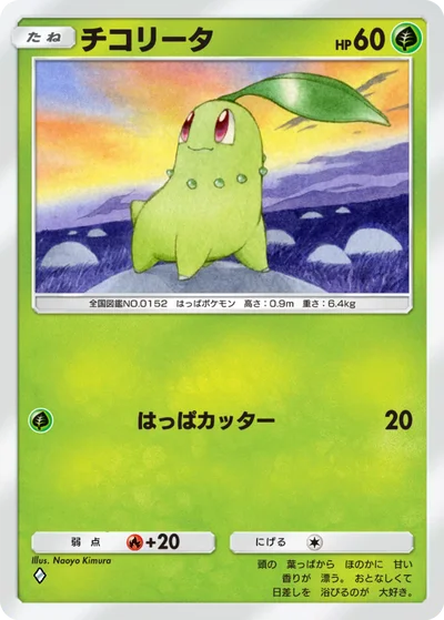 チコリータ