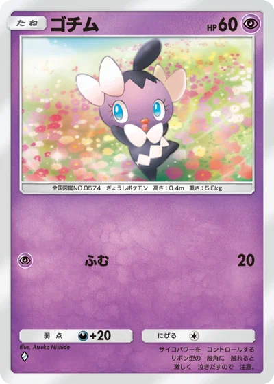ゴチム