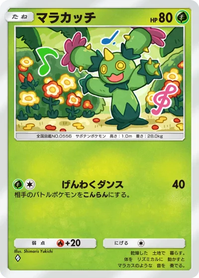 マラカッチ