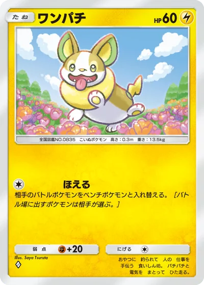ワンパチ