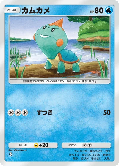 カムカメ