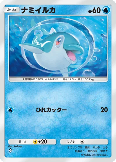 ナミイルカ