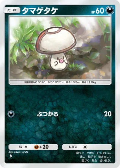 タマゲタケ
