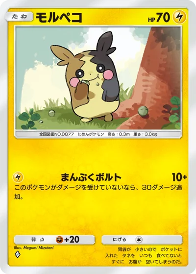 モルペコ