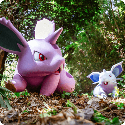 ポケモンフォレストの自然豊かな小道。木々が生い茂り、冒険心をくすぐる雰囲気が漂っている。